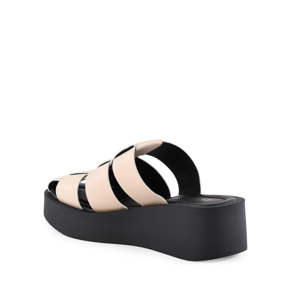 High Standard Platform Mule - Image 7